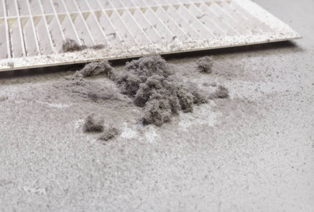 Best Duct Cleaning for Offices  in Hahnville, LA