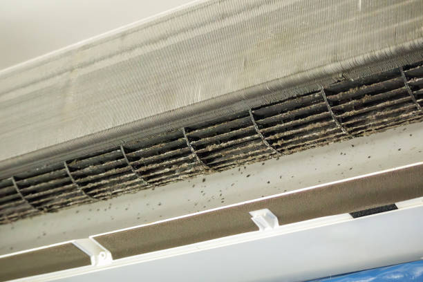 Best Air Duct Cleaning Near Me  in Hahnville, LA